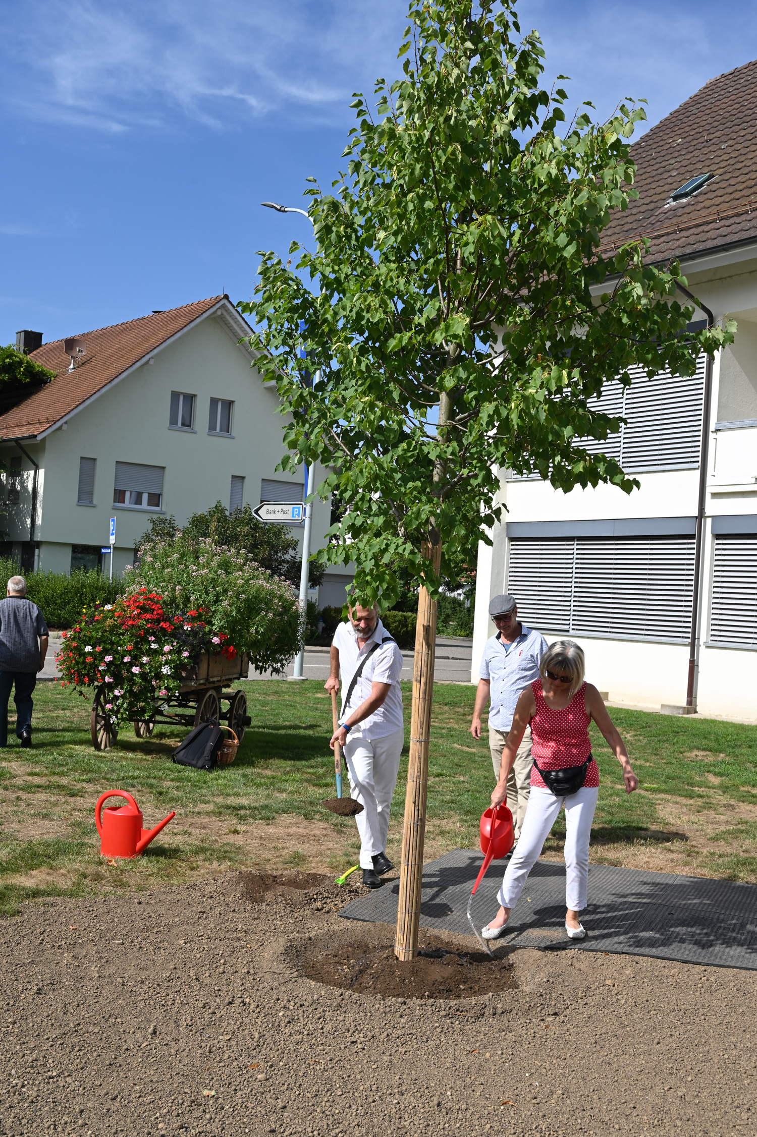 Pflanzung Zukunftslinde 1.8.2019